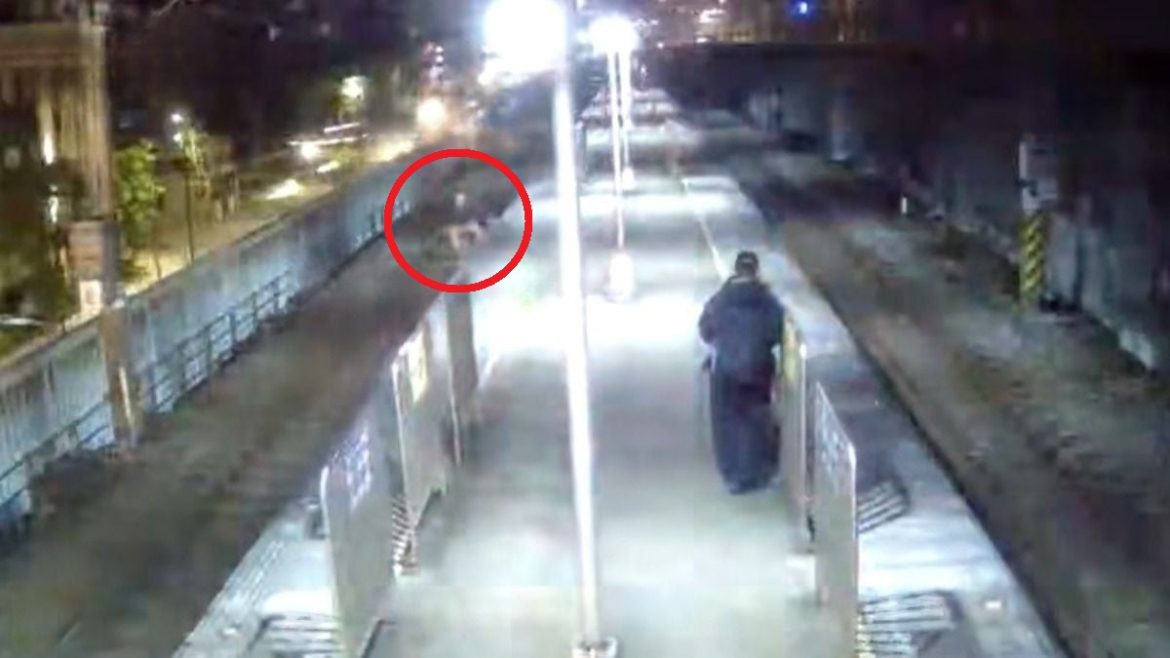 2024-12-23-a390ec455b4e4d26a869b6278afcc9b8